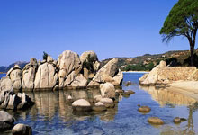 TK体育:拒绝为中国男篮出战,还想来中国捞钱,他的吃相太难看了?.